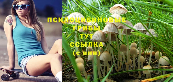 дмт Армянск
