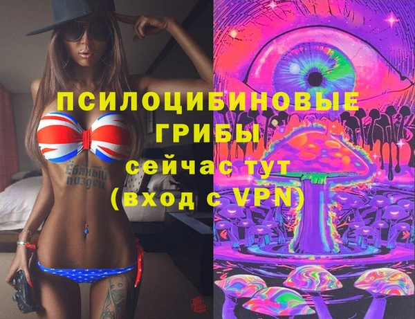дмт Армянск