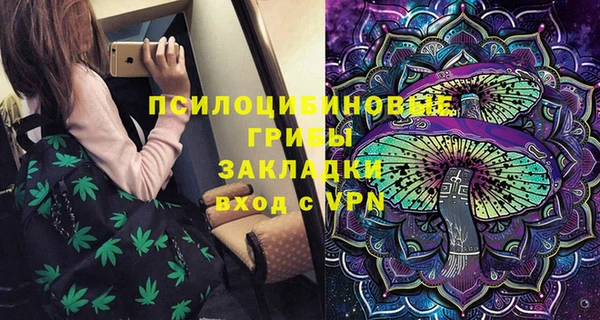 мдпв Арсеньев