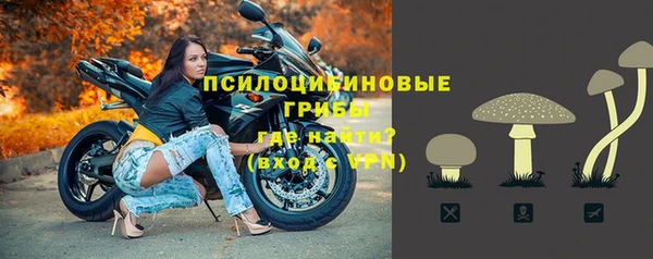 дмт Армянск