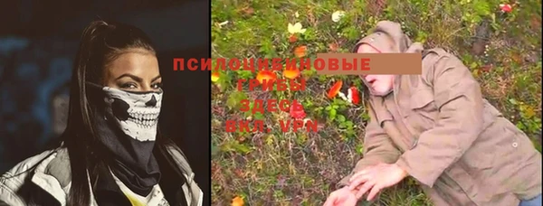 винт Алексин