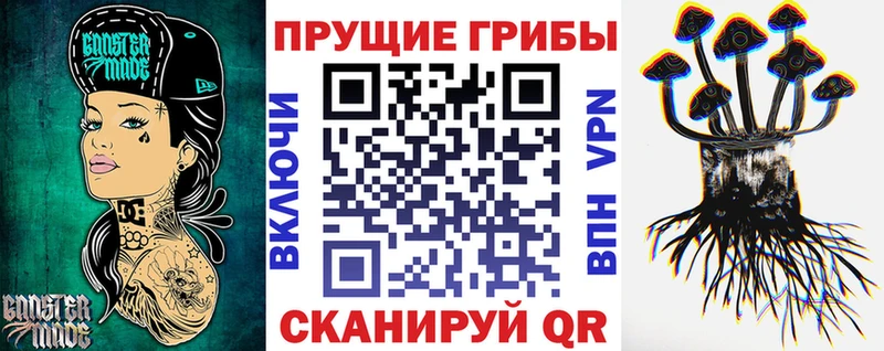 купить цена Фокино Галлюциногенные грибы Psilocybine cubensis
